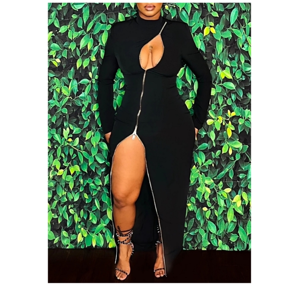 Black Zipper Dress